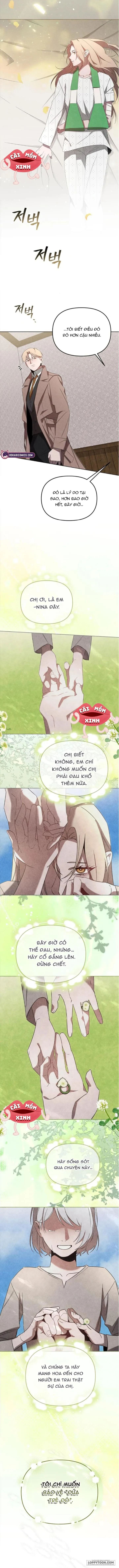 Nơi Đóa Hồng Vàng Úa Tàn Chap 18 - trang 12
