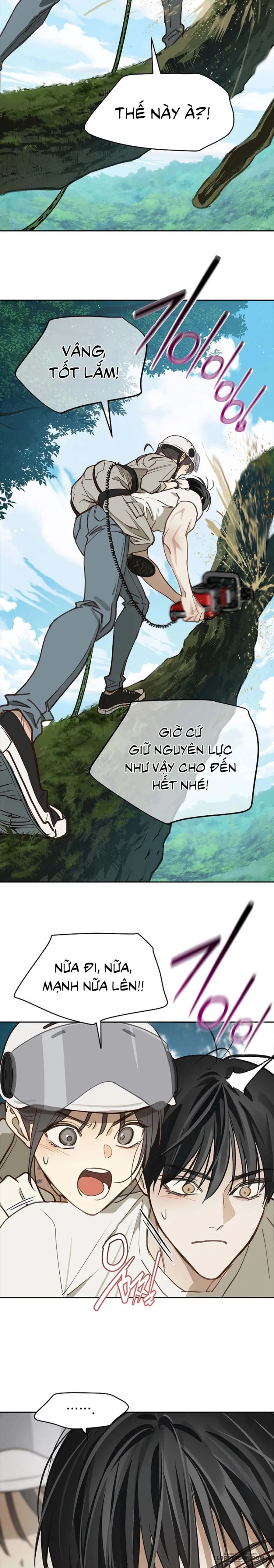 Đóa Hoa Là Mồi Nhử Chap 22 - trang 17