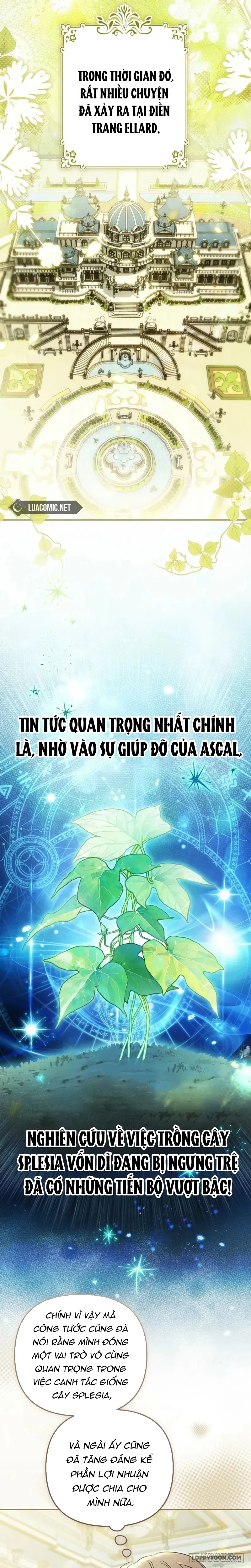 Độc Chiếm Sự Sủng Ái Của Công Nương Út, Mọi Người Đều Ám Ảnh Tôi Chap 47 - trang 7