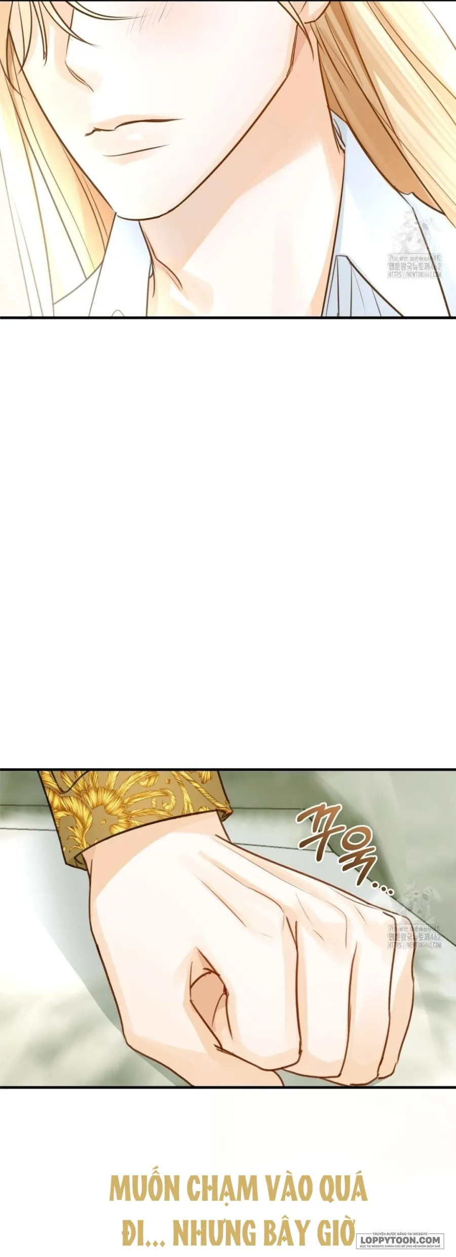 Cuộc Hôn Nhân Xa Hoa Của Đại Công Tước Là Giả Chap 69 - trang 49