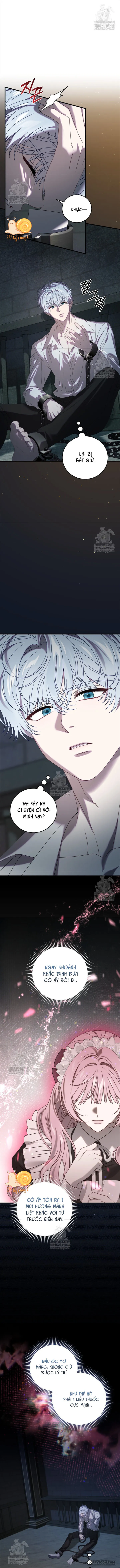 Kẻ Ám Ảnh Cuồng Tín Đang Cố Giam Cầm Tôi Chap 19 - trang 10