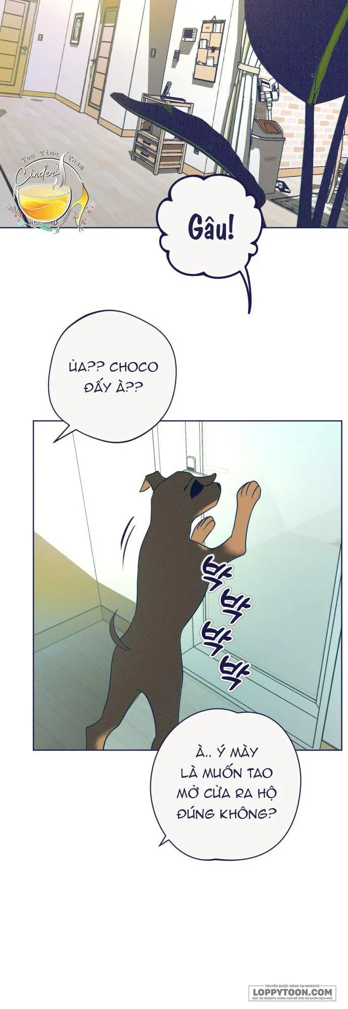 Trắc Nghiệm 4 Lựa Chọn Chap 33 - trang 48