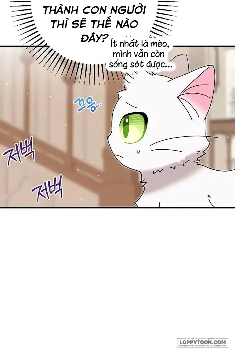 Trở Thành Miêu Nữ Của Hoàng Đế Chap 13 - trang 46