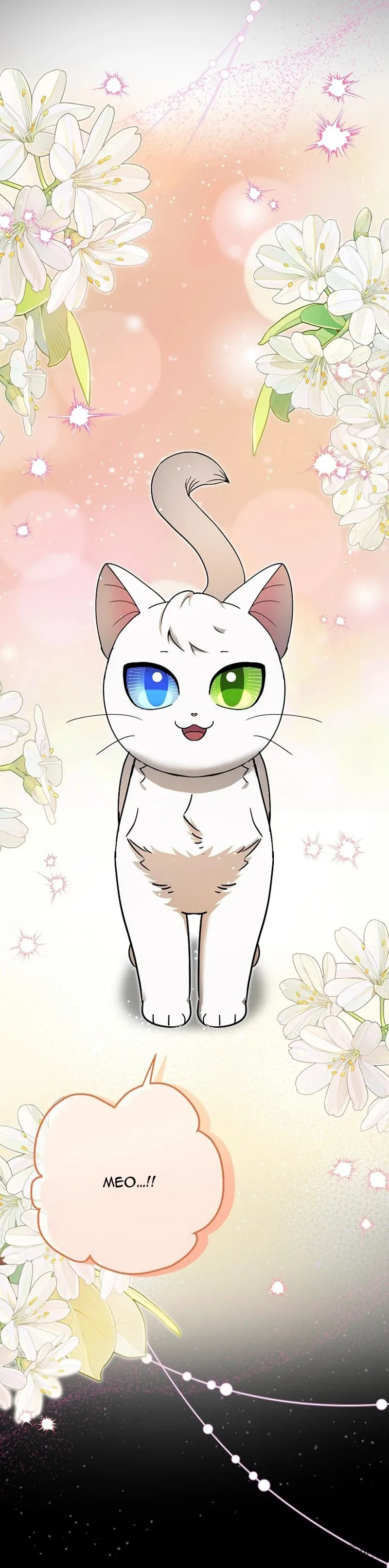 Trở Thành Miêu Nữ Của Hoàng Đế Chap 82 - trang 5