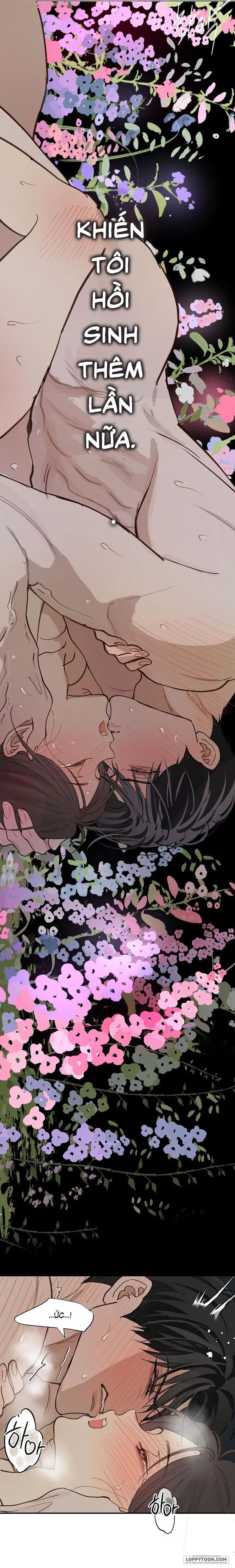 [KHÔNG CHE] Đóa Hoa Là Mồi Nhử Chap 51 - 🔞🔞🔞 - trang 9