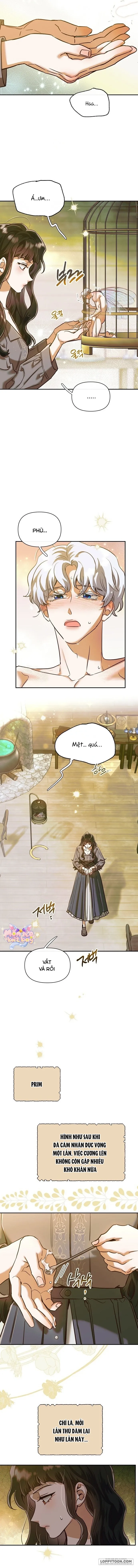 Nếu Nam Chính Nhỏ Thì Có Hơi Rắc Rối Phải Không? Chap 3 - trang 9