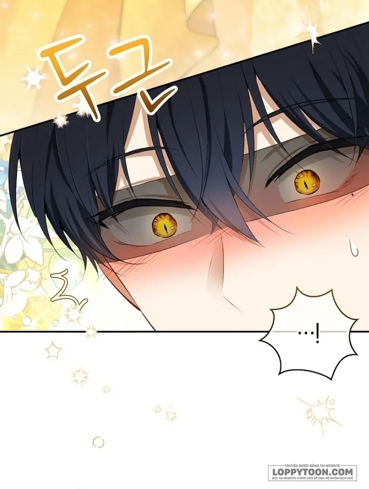 Sóc Con Tài Năng Chap 84 - trang 4