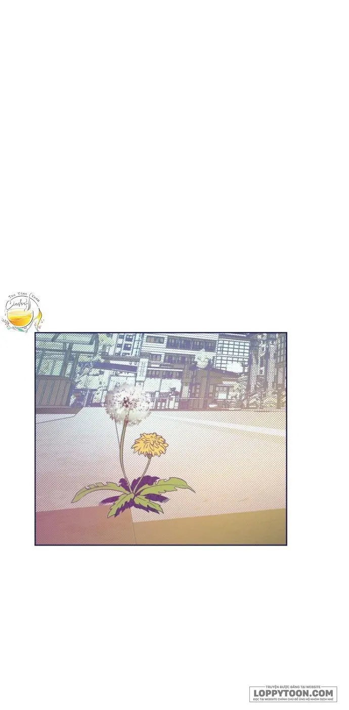 Trắc Nghiệm 4 Lựa Chọn Chap 16 - trang 3