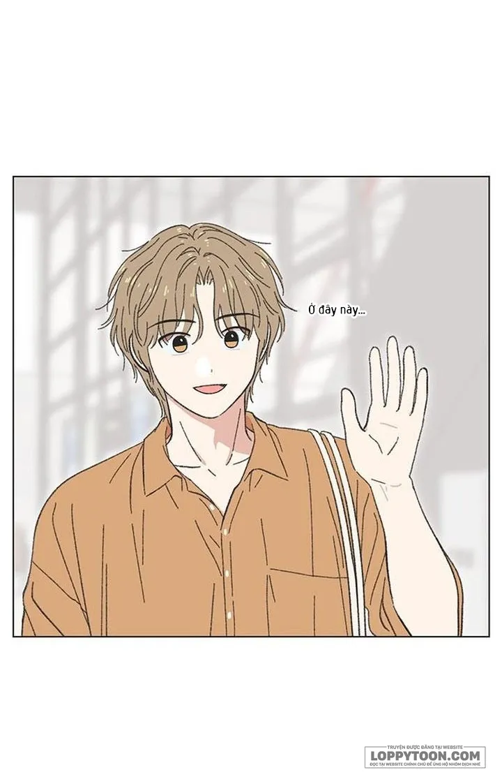 Thanh Xuân Ngọt Ngào Chap 57 - trang 55
