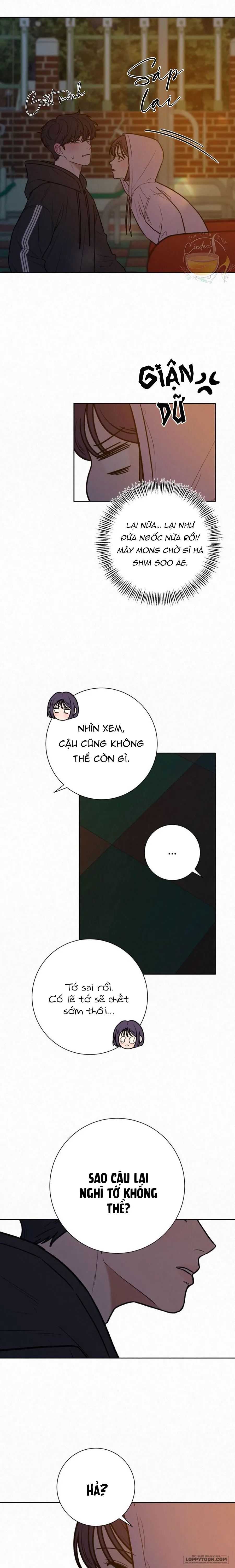 Chiến Lược Tình Yêu Trong Sáng Chap 43 - trang 38