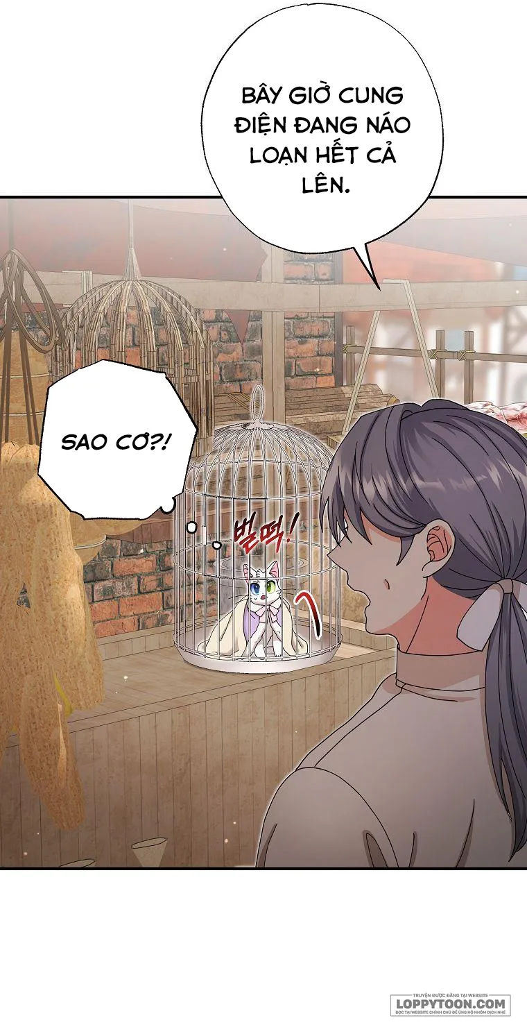 Trở Thành Miêu Nữ Của Hoàng Đế Chap 15 - trang 19