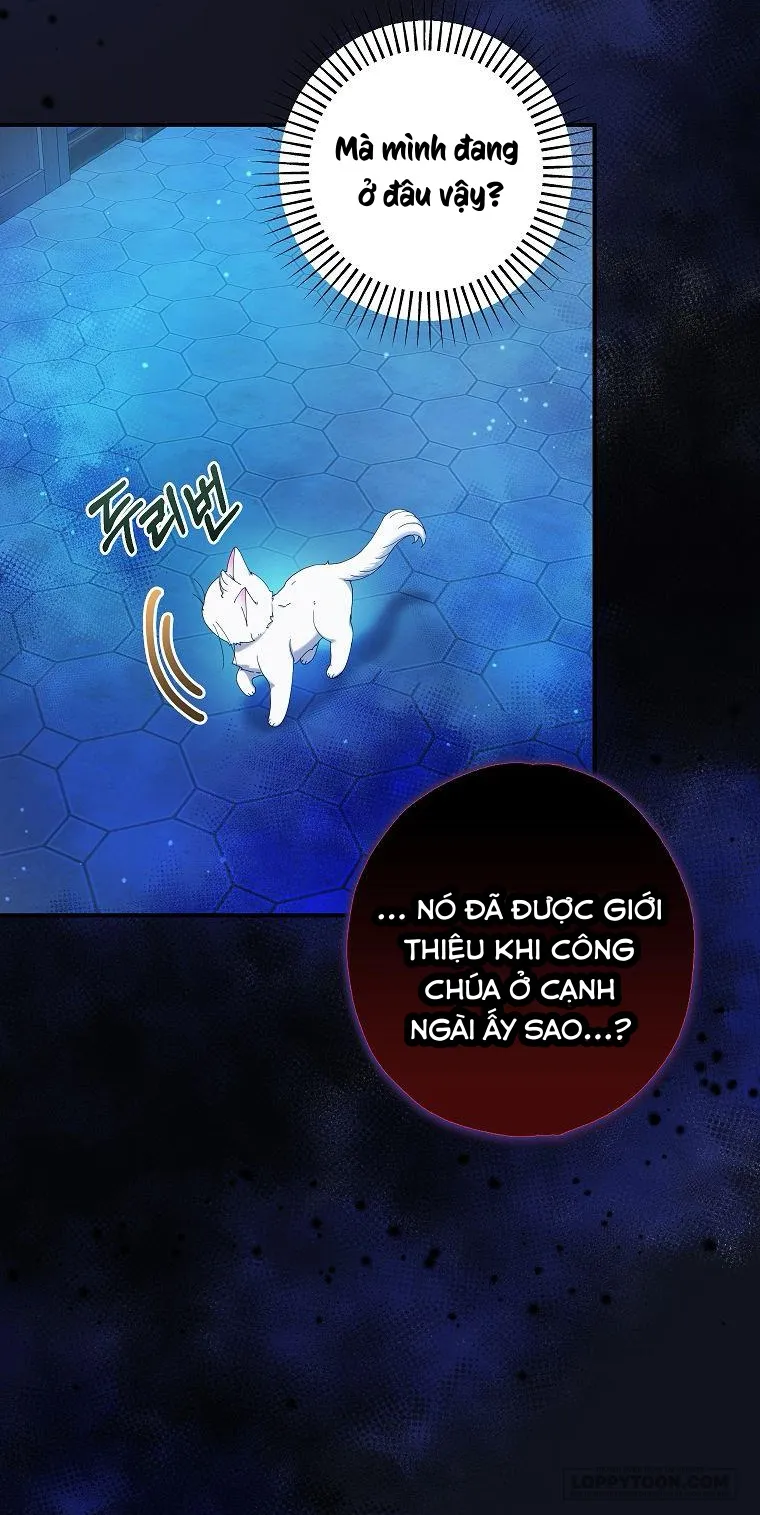 Trở Thành Miêu Nữ Của Hoàng Đế Chap 5 - trang 53