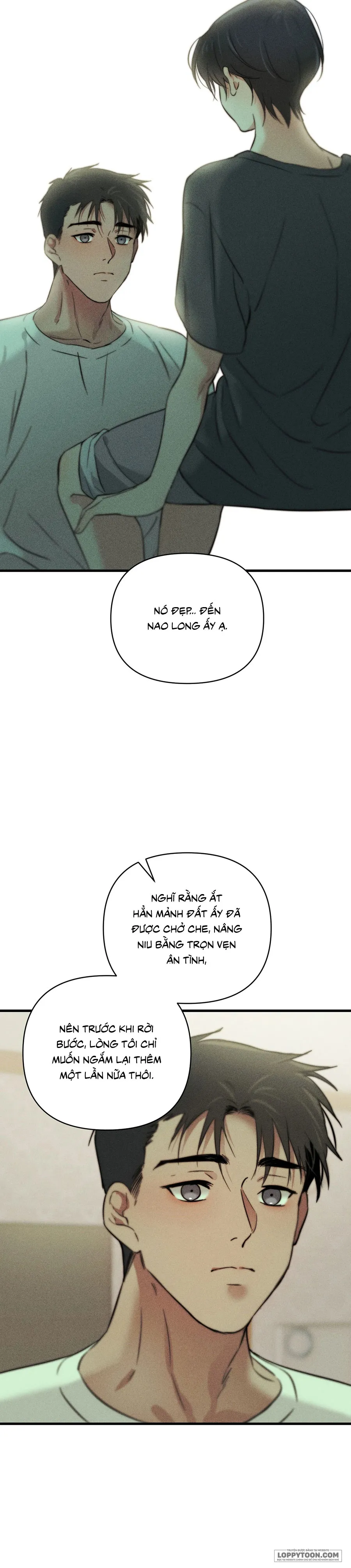 Những Ngày Cỏ Ba Lá Chap 4 - trang 29