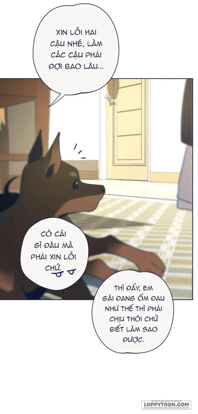 Trắc Nghiệm 4 Lựa Chọn Chap 31 - trang 51