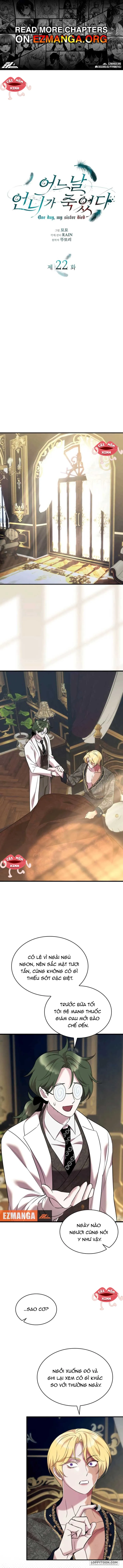 Vào Ngày Mà Chị Gái Tôi Qua Đời Chap 22 - trang 1