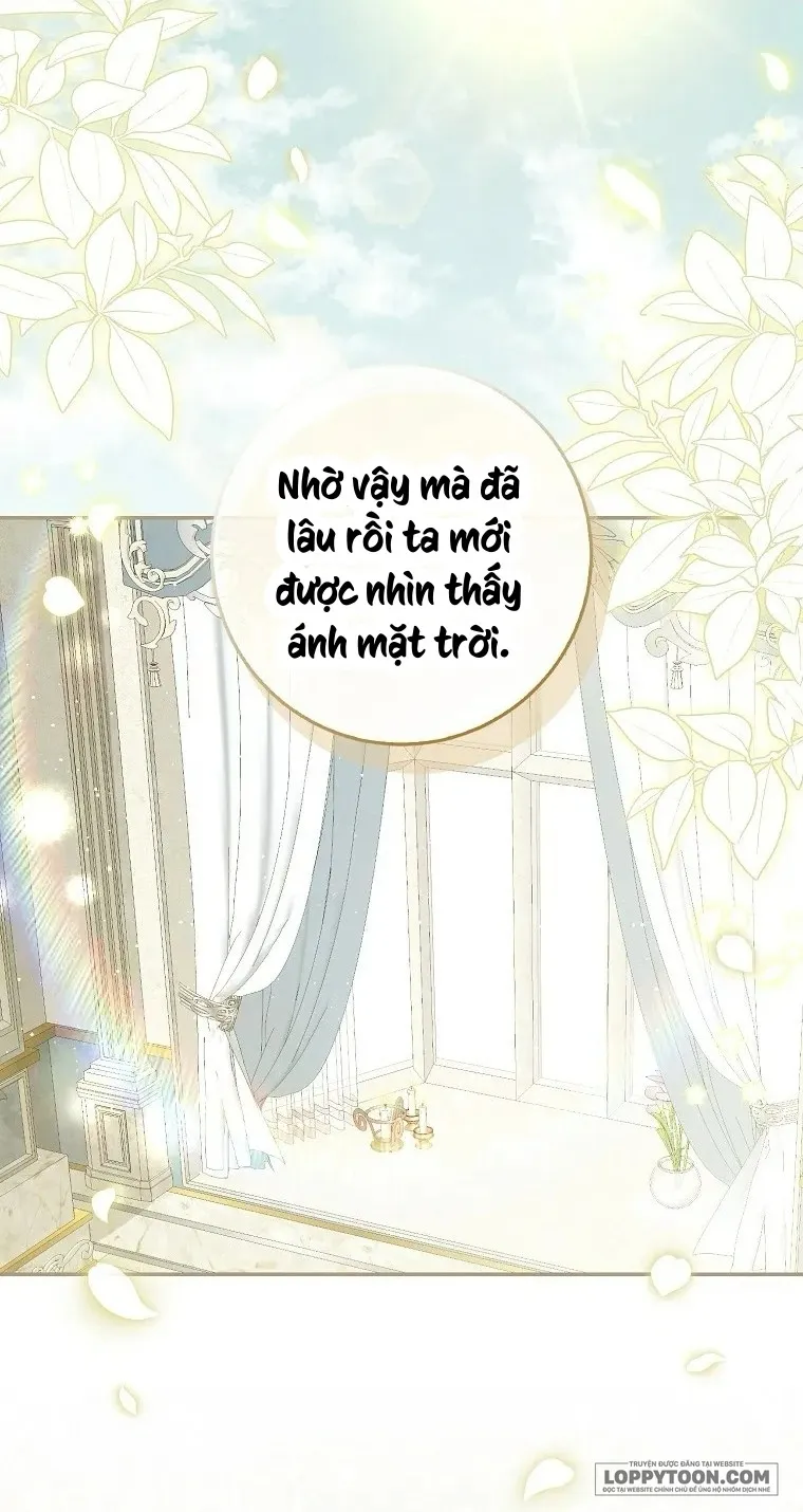 Sóc Con Tài Năng Chap 115 - trang 36