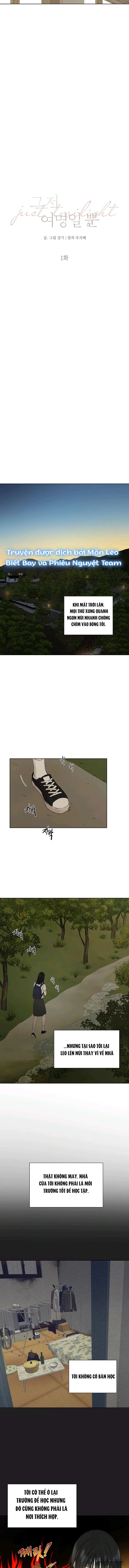 Chỉ Là Ánh Bình Minh Chap 1 - trang 12
