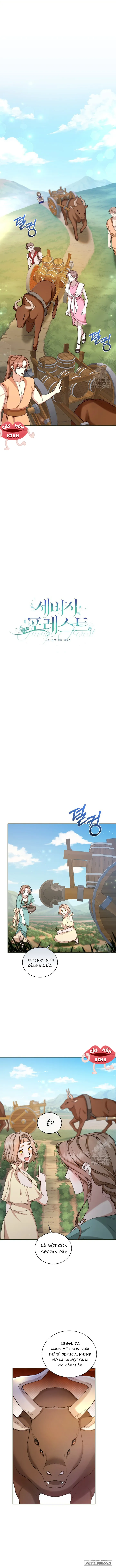 Khu Rừng Hoang Dã Chap 13 - trang 1