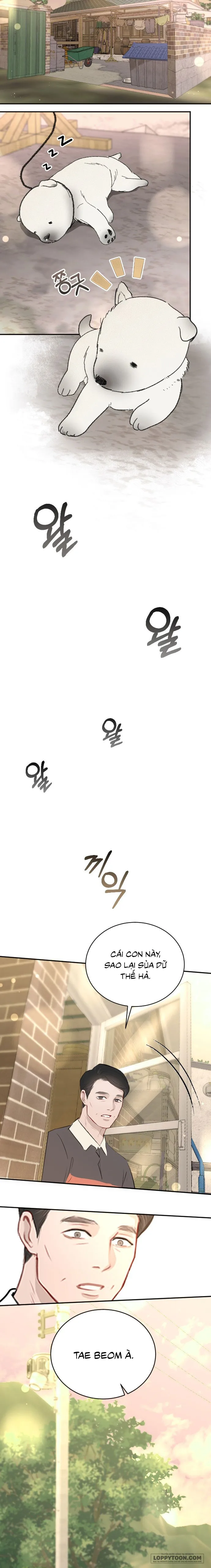 Quyền Lực Của Thư Ký Chap 51 - trang 11