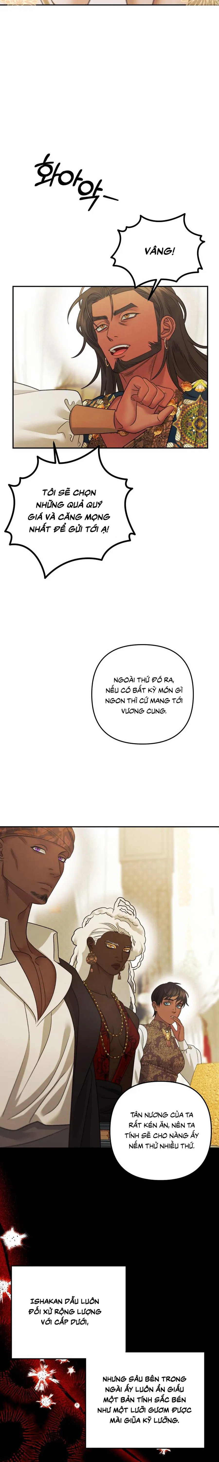 Cuộc Hôn Nhân Bị Cướp Đoạt Chap 62 - trang 8