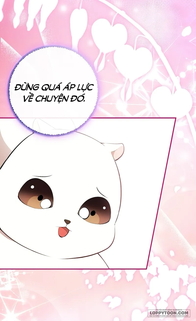 Sóc Con Tài Năng Chap 78 - trang 14