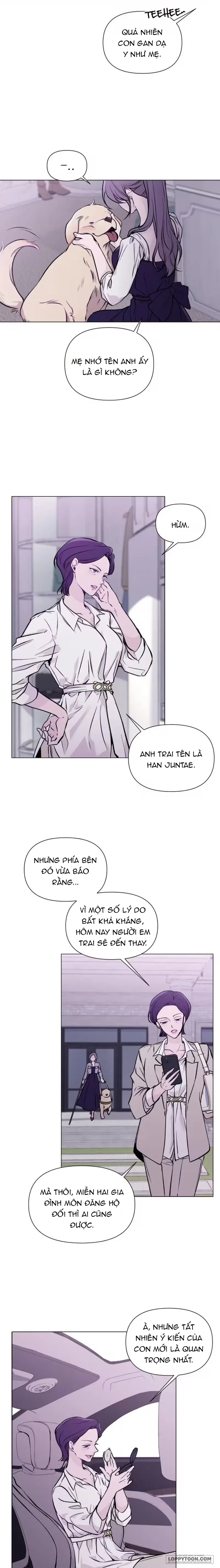 Cắn Xé Và Lừa Dối Chap 1 - trang 9