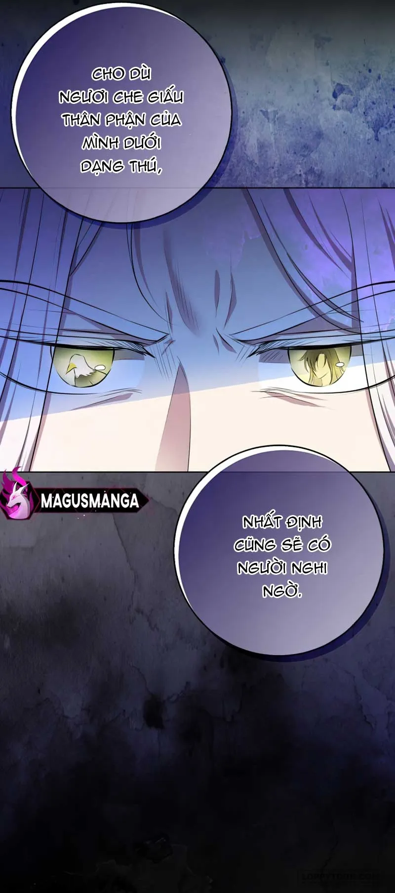 Sóc Con Tài Năng Chap 77 - trang 11