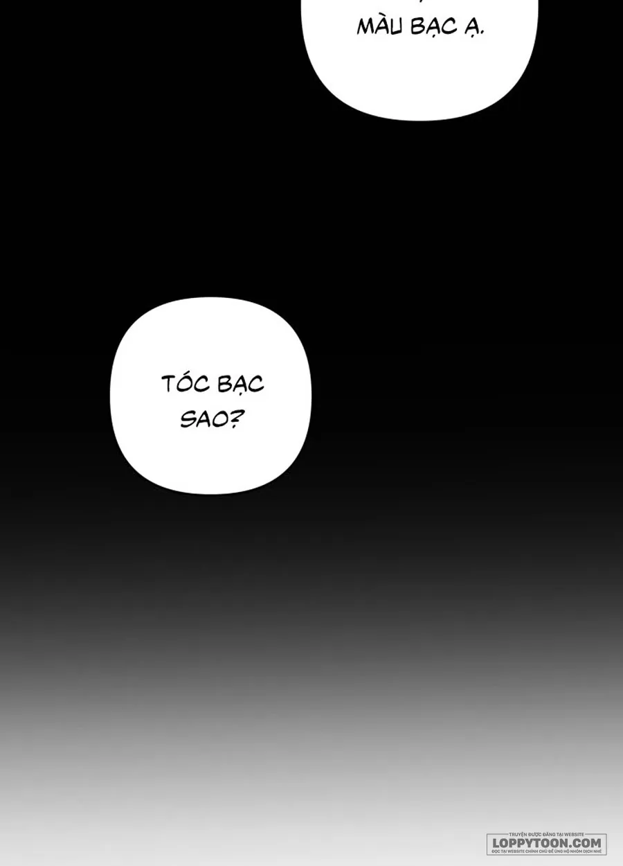 Cuộc Hôn Nhân Bị Cướp Đoạt Chap 96 - trang 12