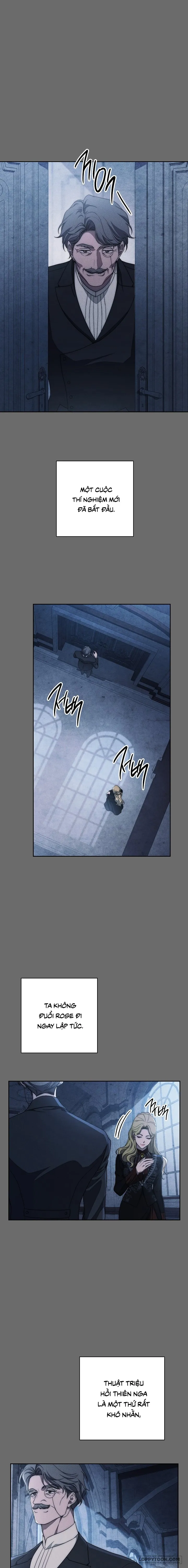 Mộ Thiên Nga Chap 31 - trang 1
