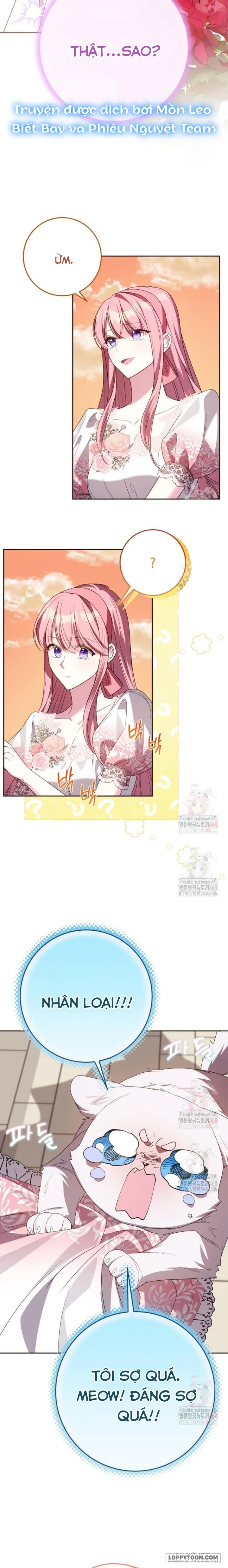 Tôi Gặp Nam Chính Trong Tù Chap 70 - trang 2