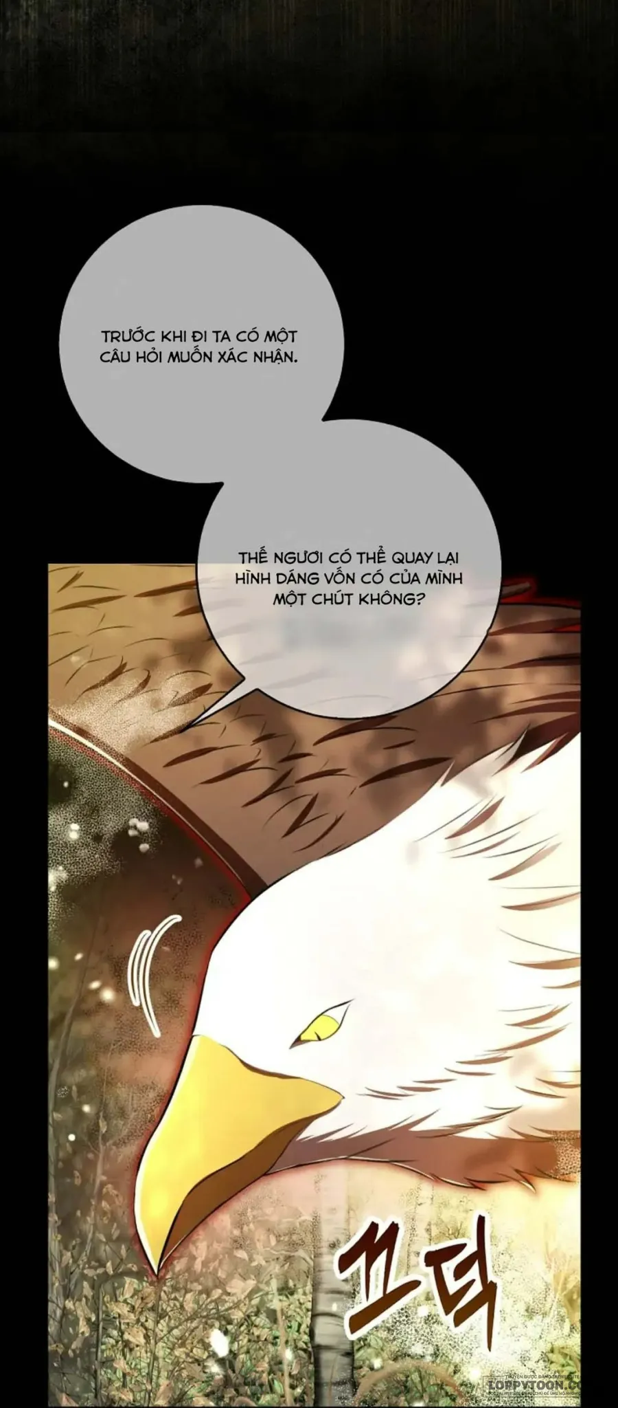 Sóc Con Tài Năng Chap 96 - trang 47