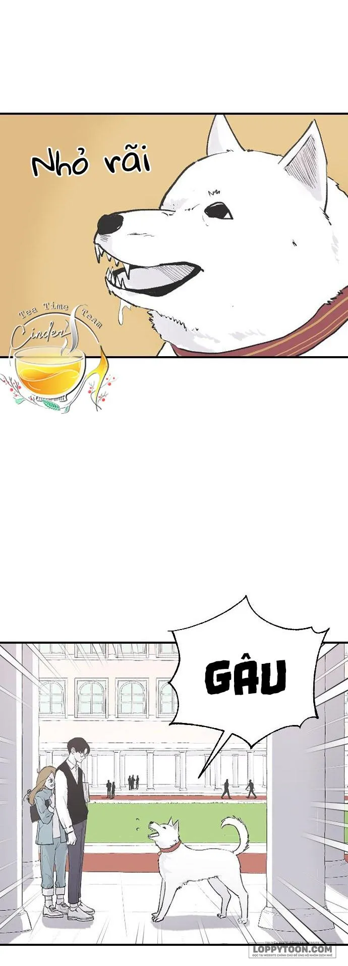 Ba Anh Trai Cực Phẩm Của Tôi Chap 8 - trang 20