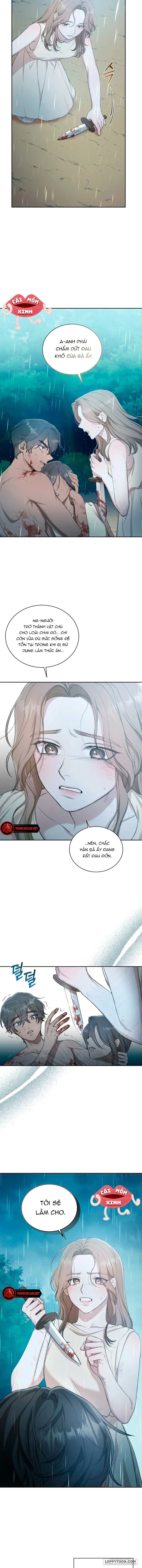 Khu Rừng Hoang Dã Chap 4 - trang 14
