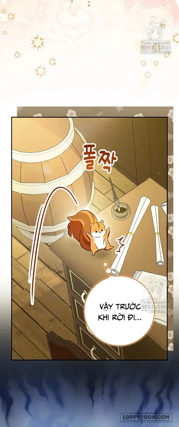 Sóc Con Tài Năng Chap 104 - trang 32