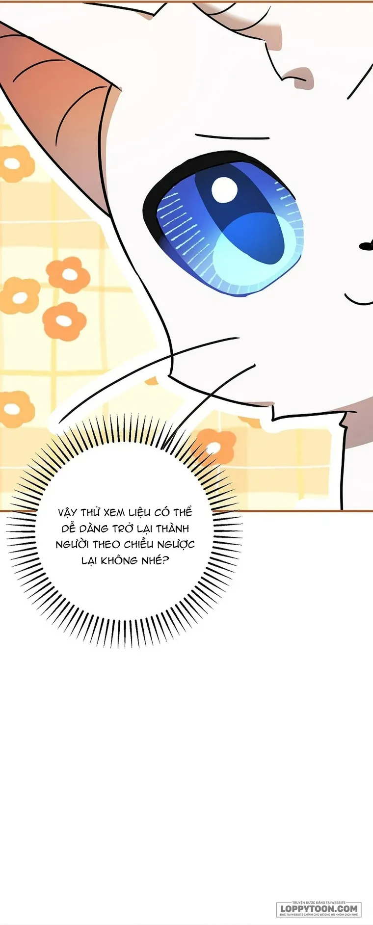 Trở Thành Miêu Nữ Của Hoàng Đế Chap 72 - trang 53