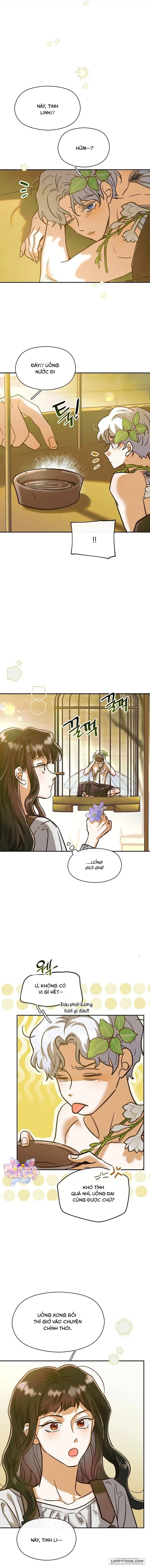 Nếu Nam Chính Nhỏ Thì Có Hơi Rắc Rối Phải Không? Chap 2 - trang 9