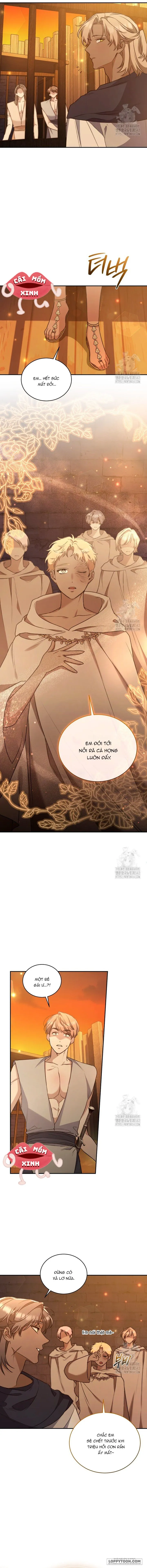Khu Rừng Hoang Dã Chap 37 - trang 10