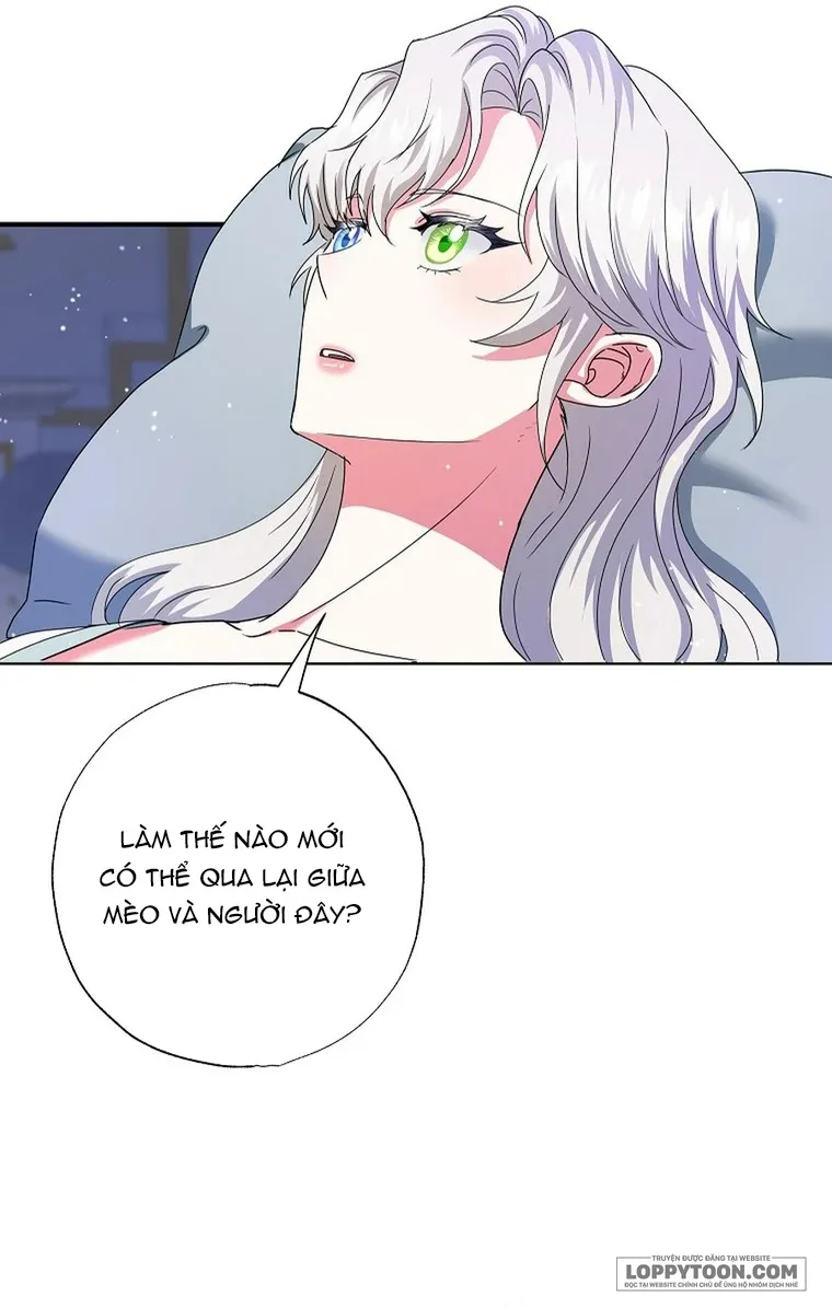 Trở Thành Miêu Nữ Của Hoàng Đế Chap 72 - trang 37