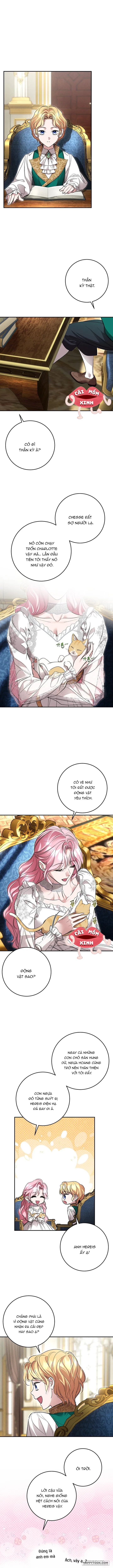 Cuộc Hôn Nhân Bị Bắt Cóc Xuyên Thời Gian Của Hoàng Hậu Chap 42 - trang 8
