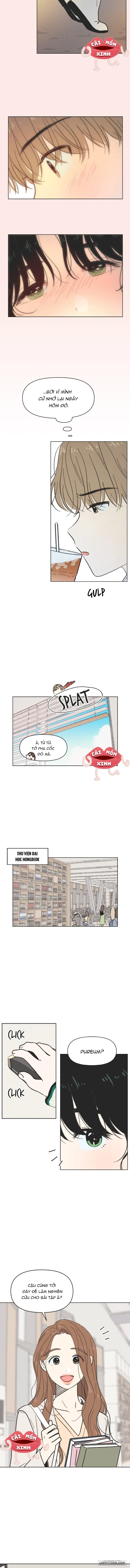 Thanh Xuân Ngọt Ngào Chap 5 - trang 8
