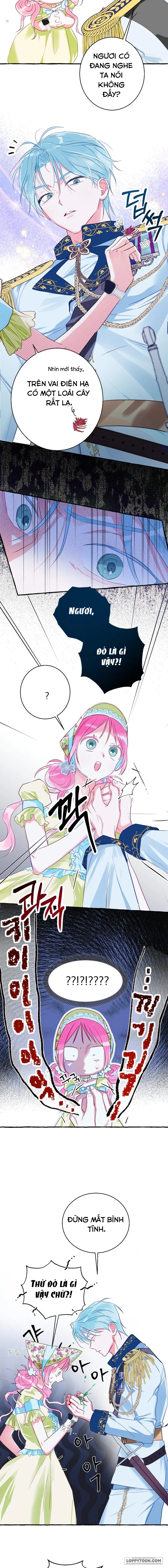 Bạn Sẽ Chết Nếu Không Biết Luật Tiểu Thuyết Chap 5 - trang 4