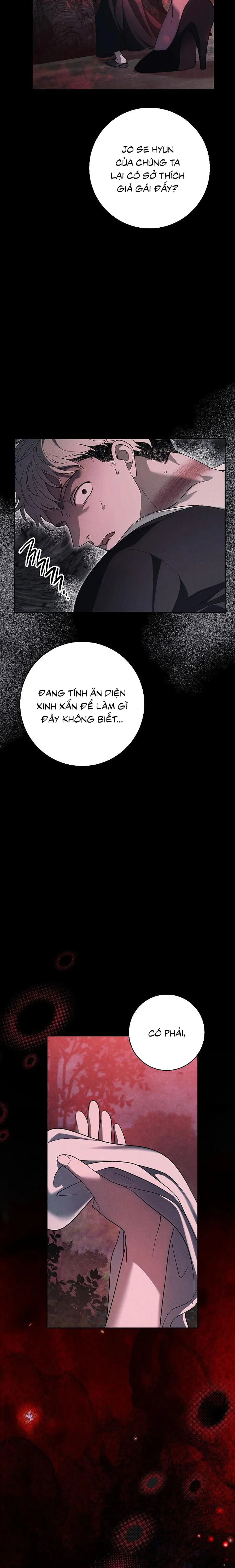Mộ Thiên Nga Chap 38 - trang 28
