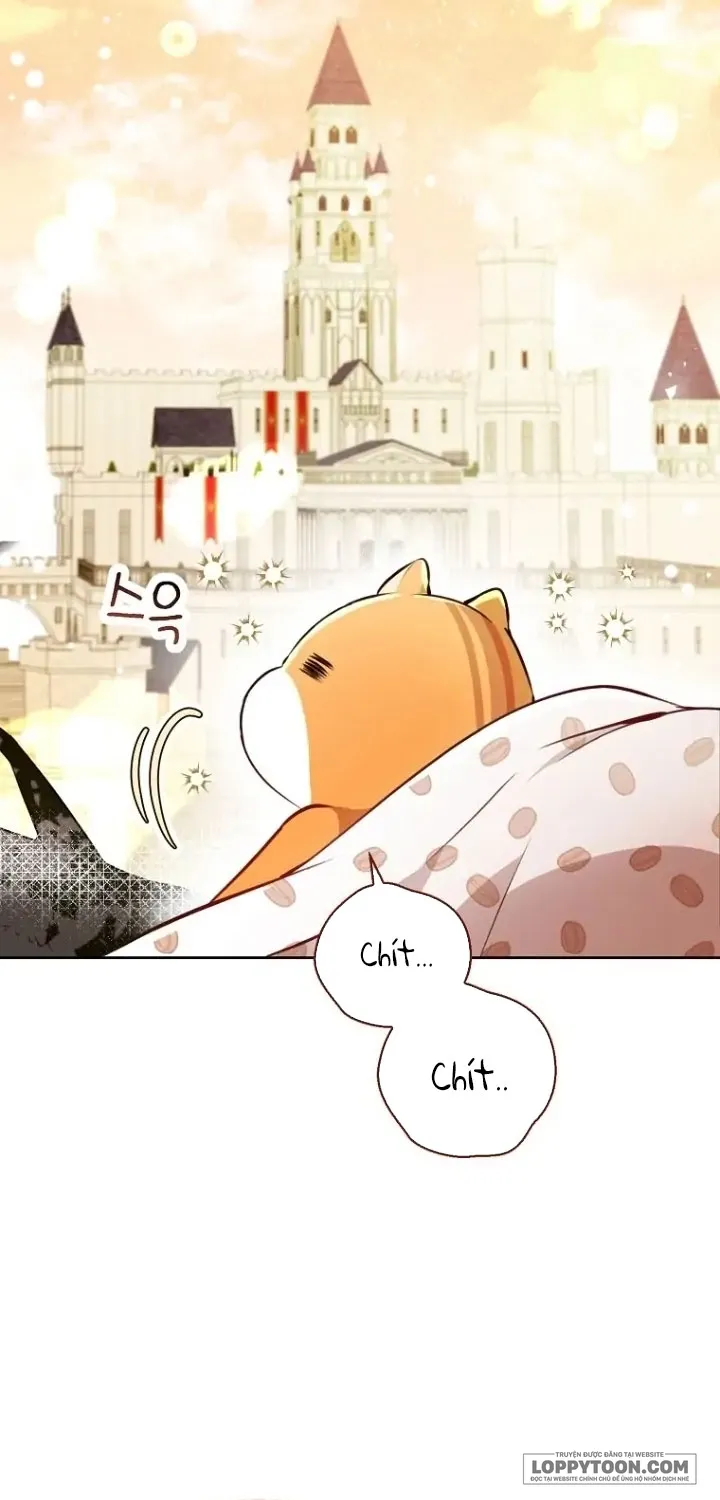 Sóc Con Tài Năng Chap 53 - trang 46