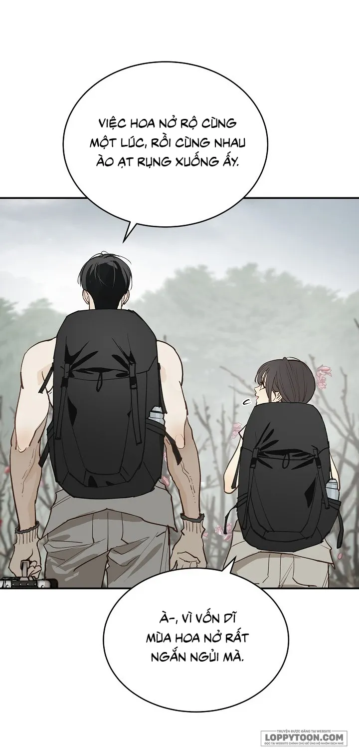 Đóa Hoa Là Mồi Nhử Chap 55 - trang 6