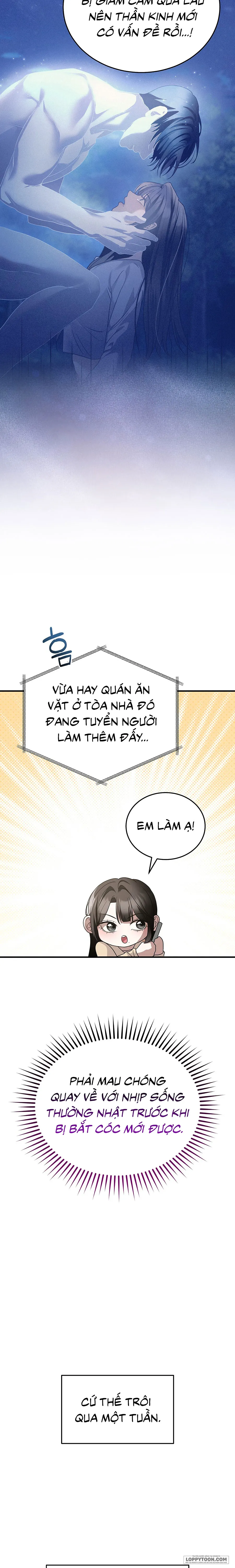 Chó Hoang Mơ Giấc Mơ Săn Mồi Chap 28 - trang 11