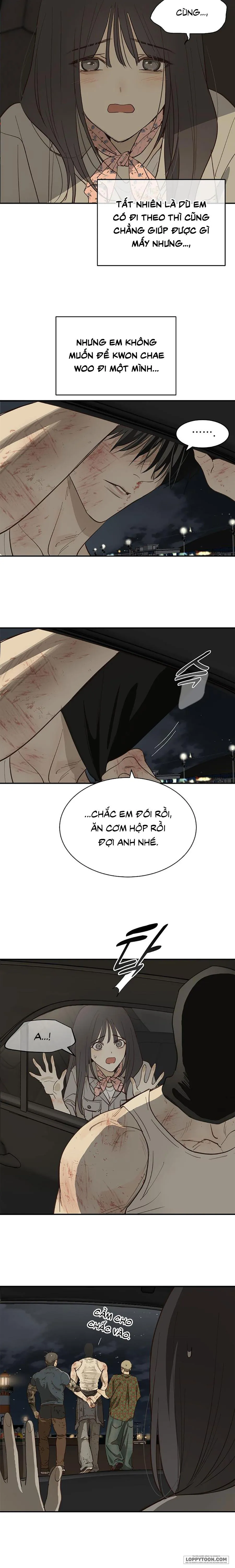 Đóa Hoa Là Mồi Nhử Chap 42 - trang 13