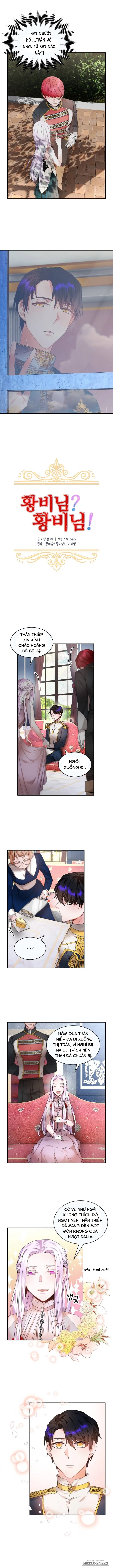 Tôi Không Muốn Trở Thành Hoàng Hậu Chap 4 - trang 3