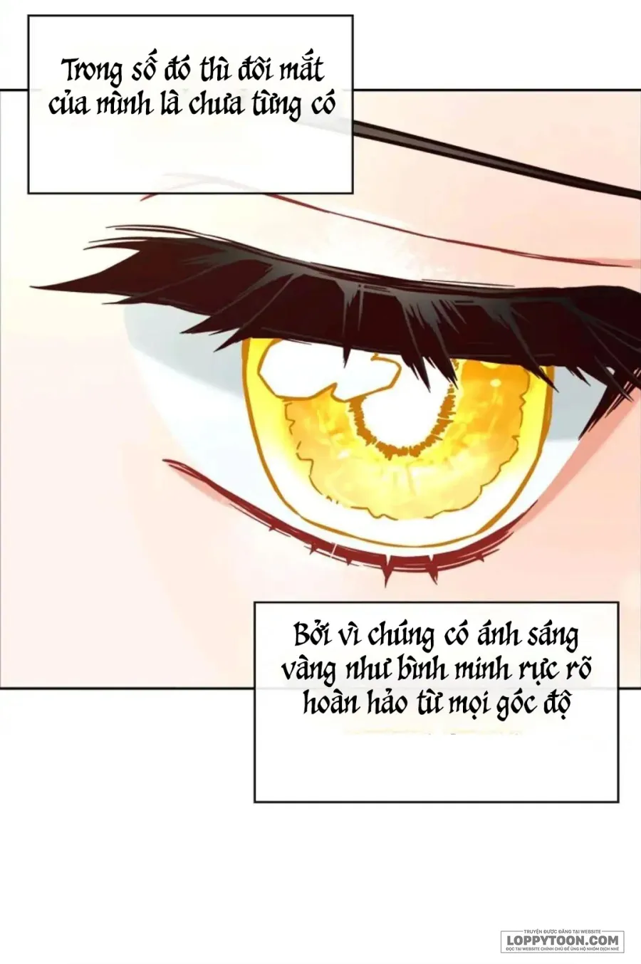 Tôi Sẽ Ở Ngay Bên Cạnh Nam Chính Chap 3 - trang 23