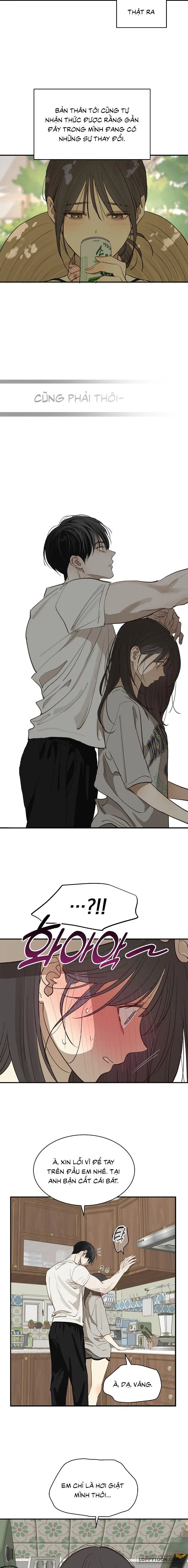 Đóa Hoa Là Mồi Nhử Chap 36 - trang 14