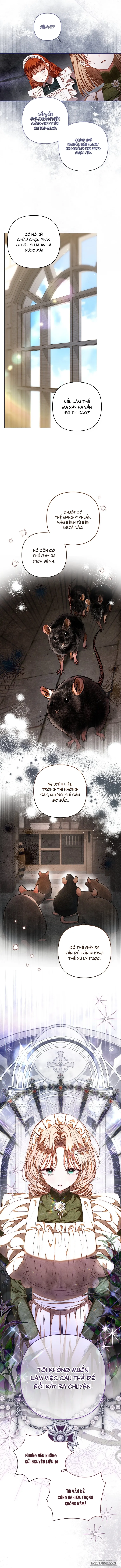 Trở Thành Hầu Nữ Còn Quan Trọng Hơn Là Làm Công Chúa Chap 35 - trang 7